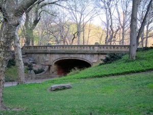 Central Park Bridge by Jeff Linamen 3/12