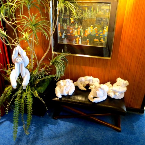 Our collection of 'pets' gathered during our stay.