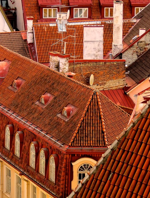 The rooftops of Toompea.
