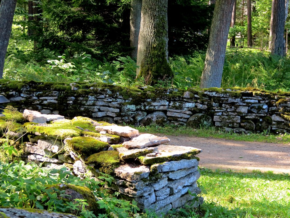 Beautiful moss-covered walls lining the paths at the Estonian Open Air Museum.