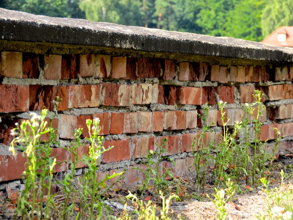 The crumbling foundation of one of the workhouses.