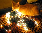 IMG_1680 - Version 2