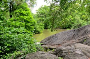 The quiet solitude of Central Park.