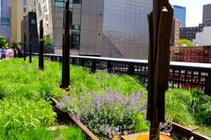 View from The High Line.