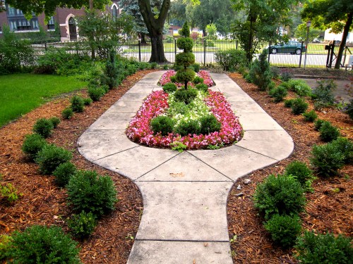 Figure eight, one year after planting. (2007)