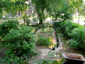 Prepping to plant, 2006.
