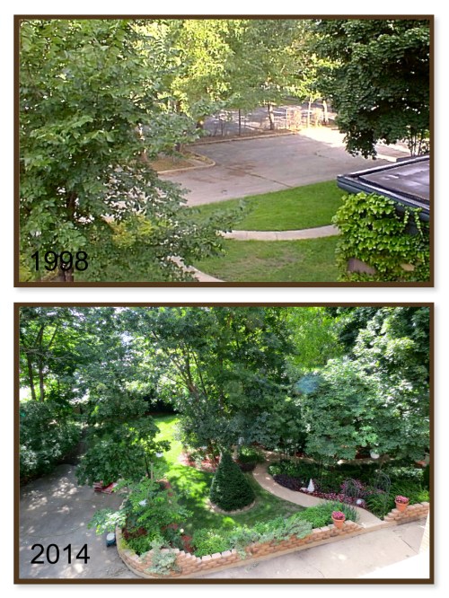 West side yard view from the second floor at 321 Division Street.