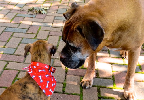 IMG_7605 - Version 2