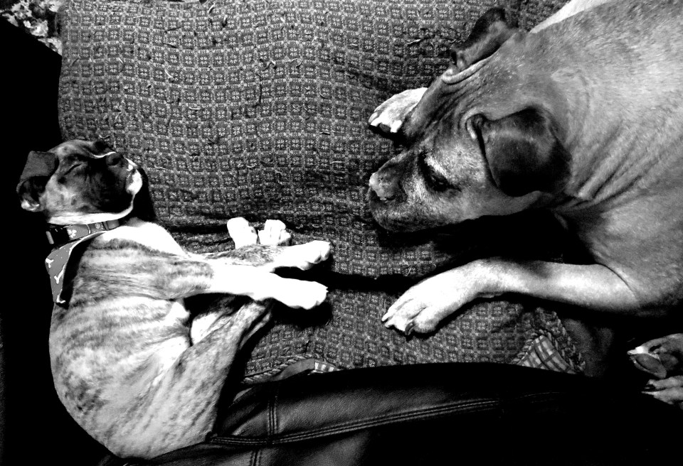 Someone To Watch Over Me. Cash & Belle.