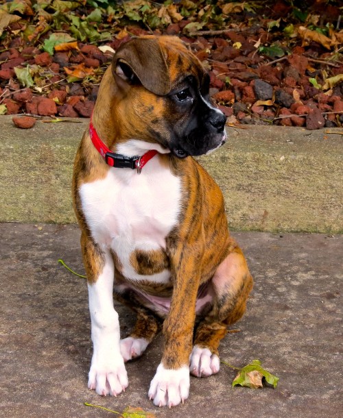 Looking for her brother.