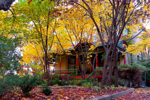 My forest angle of the 321 Division Street