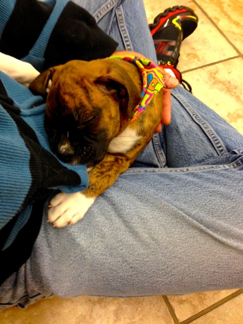 My first meeting with Belle.