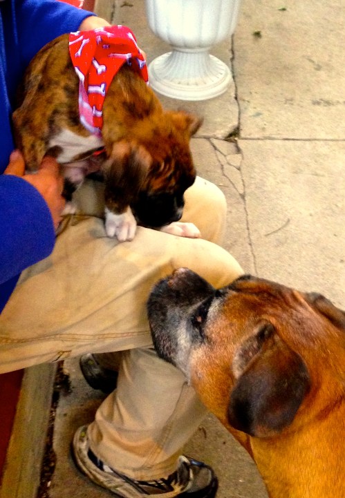 Cash and Belle's first meeting.