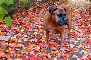 10659025_10204675649628891_1956375998290728792_o