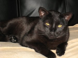 2165_1108545151581_6483_n