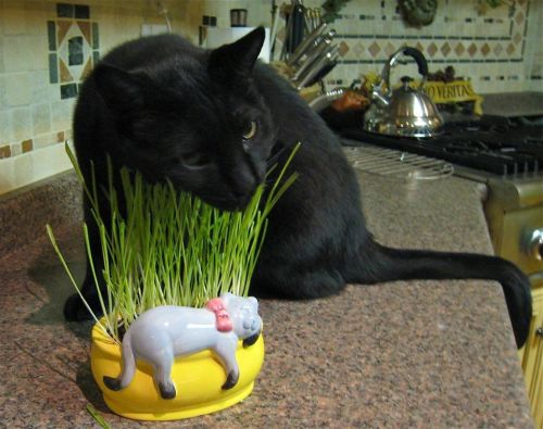 400984_2916202581887_1025934006_n