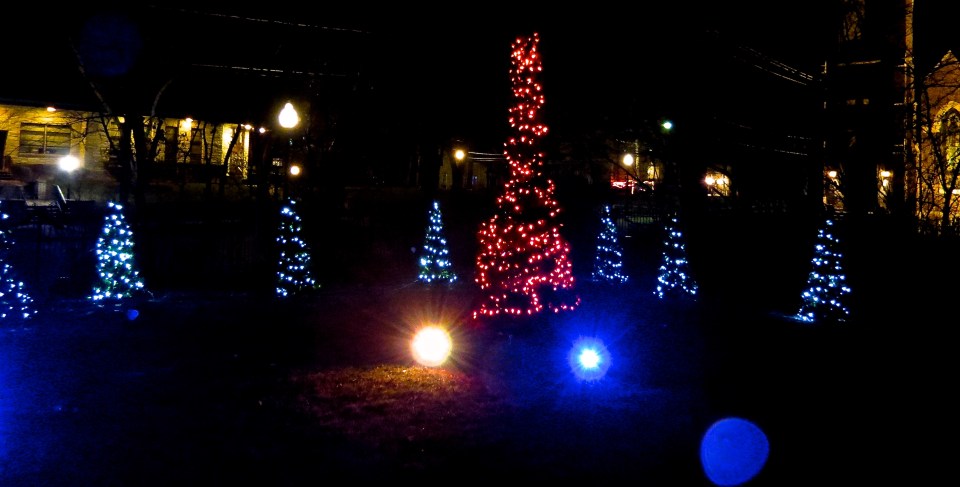 Trees in the yard form the front porch.