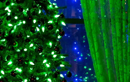 Smaller Foyer tree by the front door.