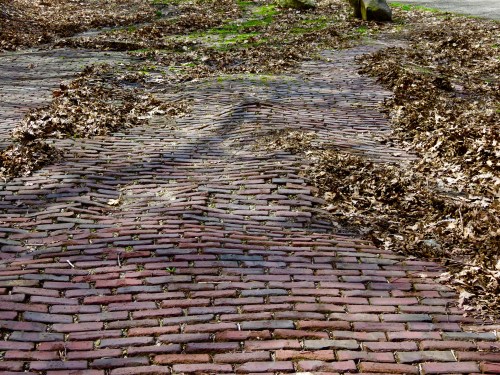 "Brick Roadway on North Spring Street" (1930's) is the last exposed brick remaining in Elgin.