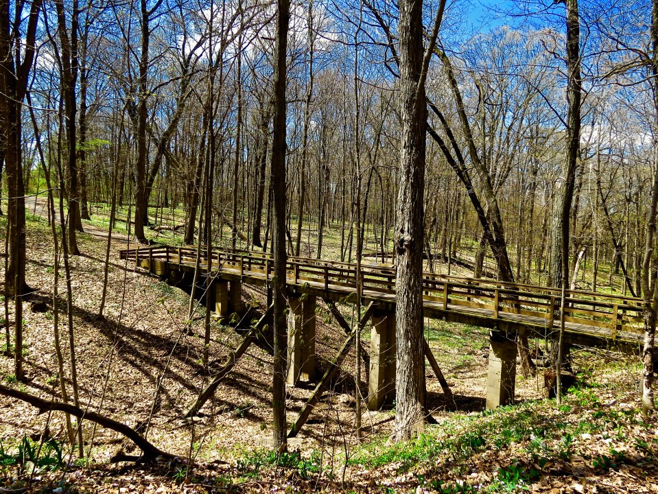 Just off the FRT in the Tekakwitha Woods.