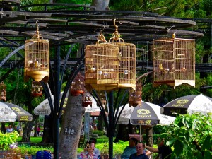 Visiting the bird park.