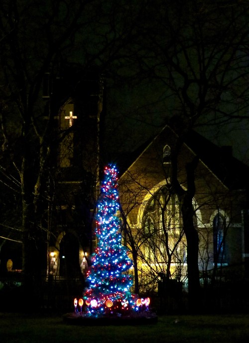 Our tree in the front yard with the church in the background.
