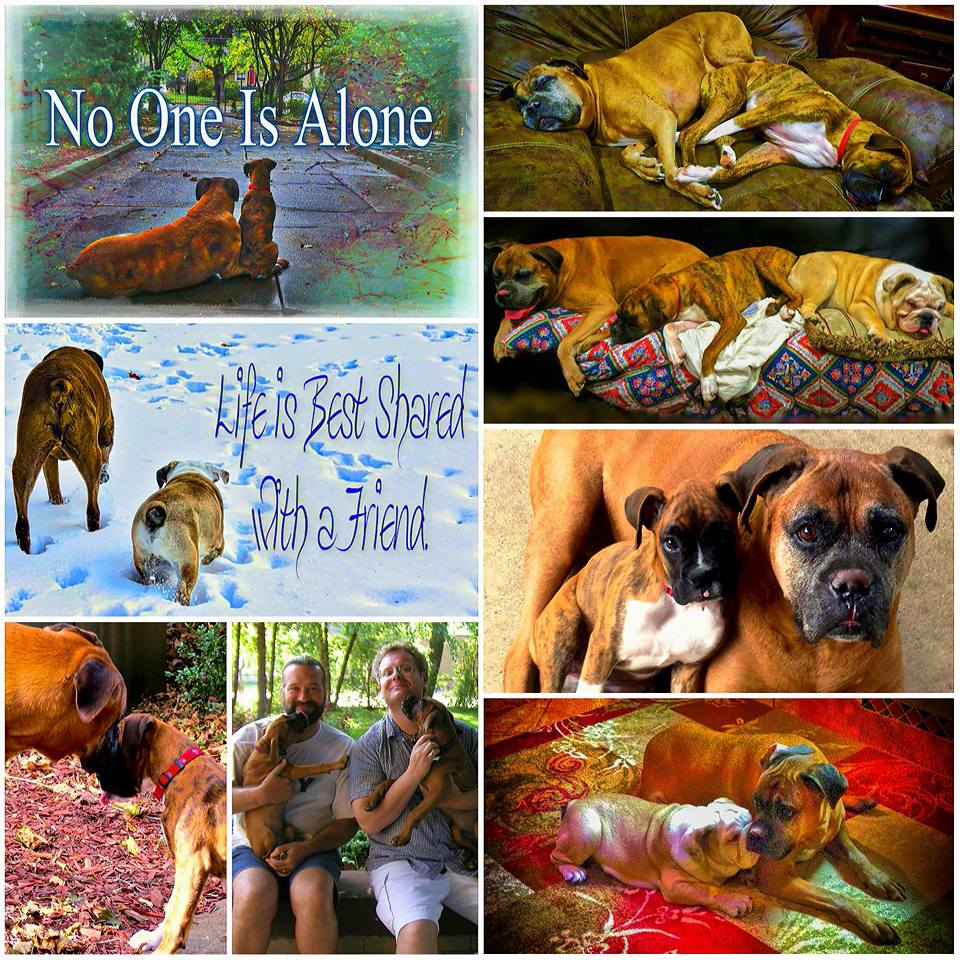 Thank you Alyssa Davis for putting this together.