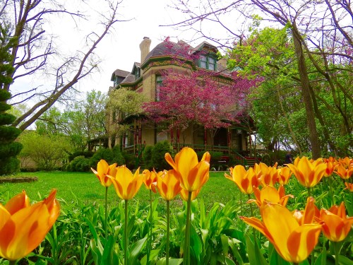 Spring at home. The John Newman House built in 1889 also known locally as 'The Butterman Mansion'.