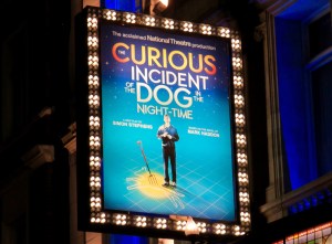 The Curious Incident of the Dog in the Night Time.