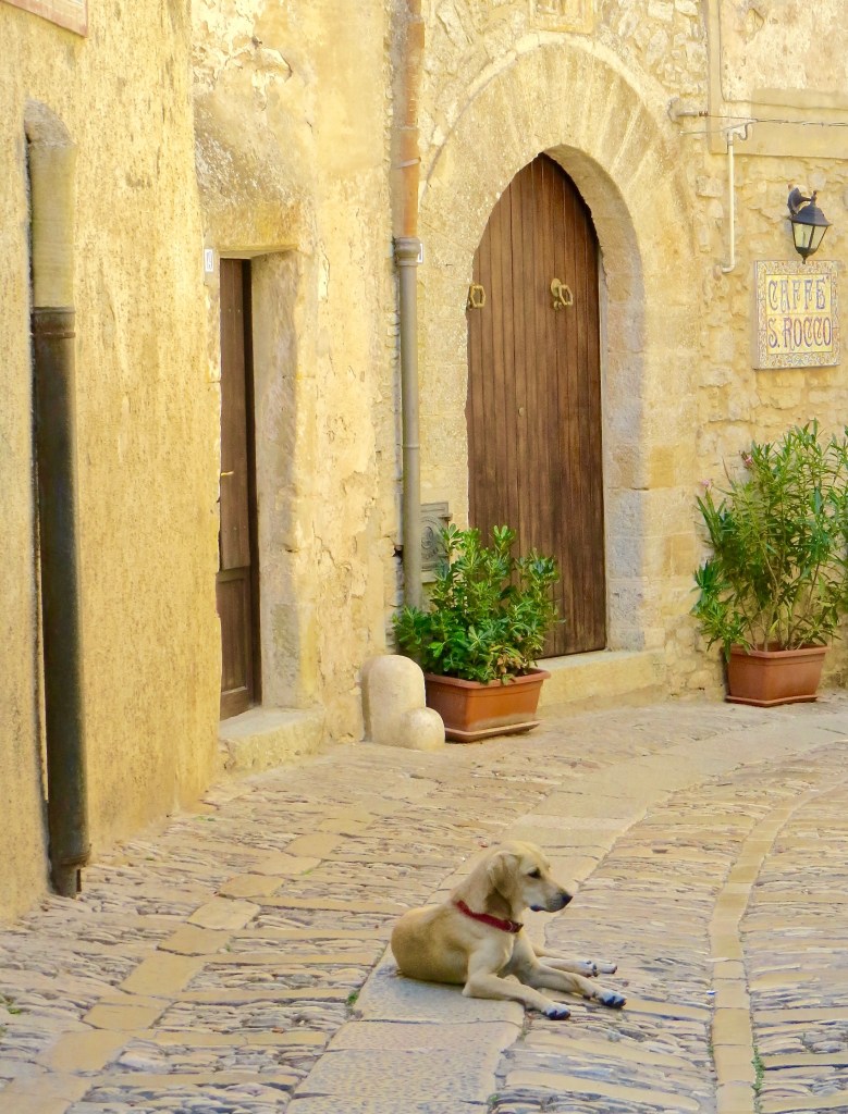 One of several dogs we past, lounging in the streets of Erice.