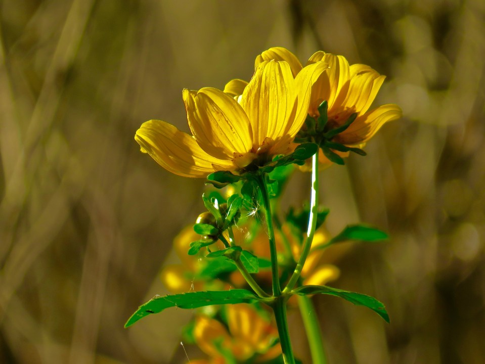 @Circle B Bar Reserve