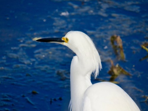 @Circle B Bar Reserve