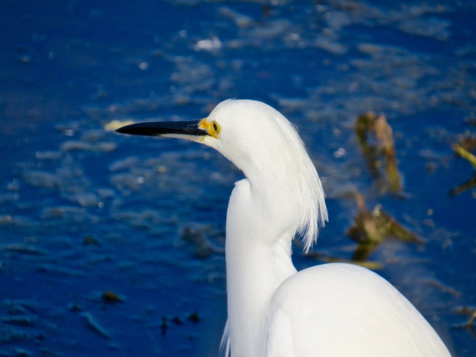 @Circle B Bar Reserve