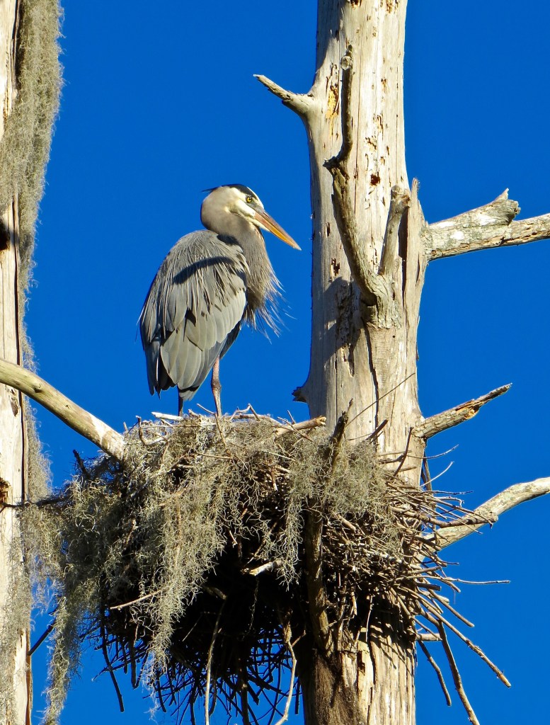 @Circle B Bar Reserve