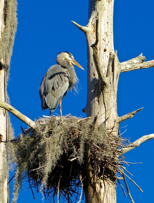 @Circle B Bar Reserve