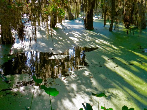 @Circle B Bar Reserve