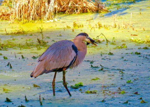 @Circle B Bar Reserve