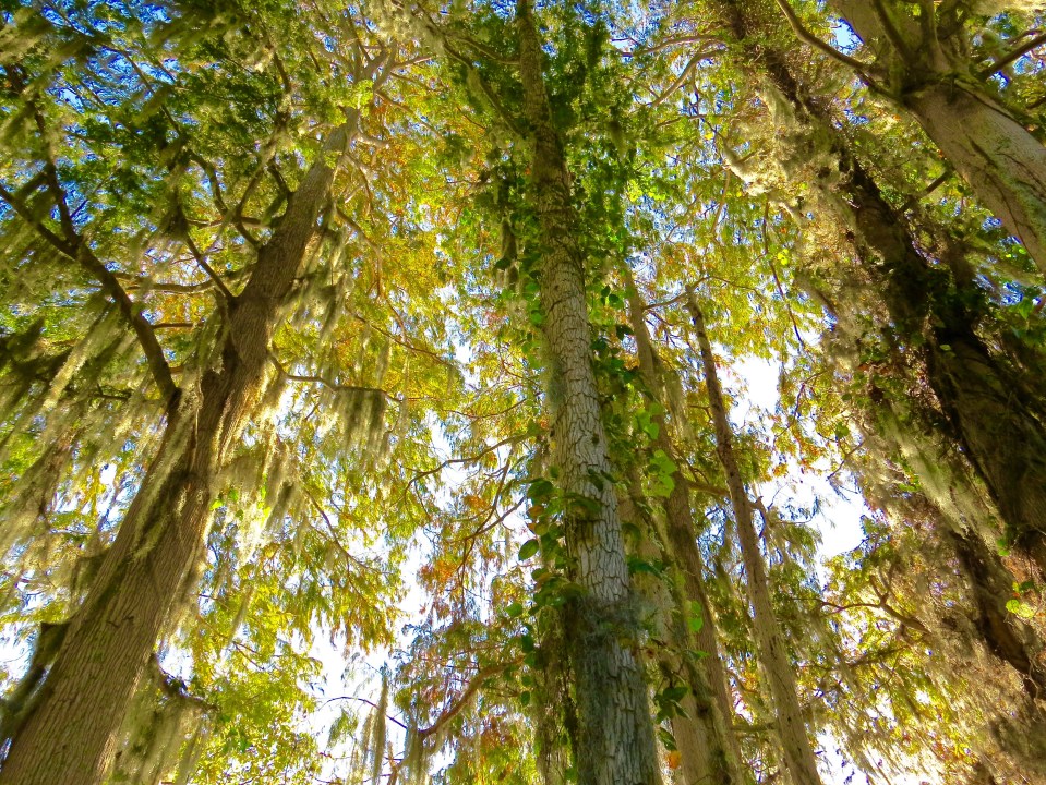 @Circle B Bar Reserve