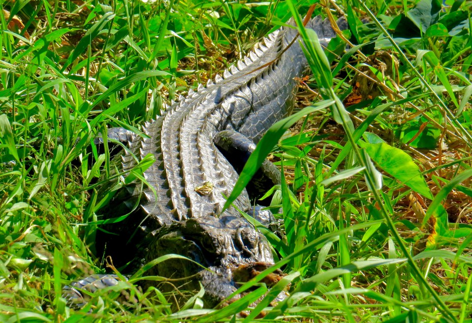 @Circle B Bar Reserve