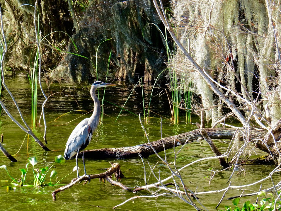 @Circle B Bar Reserve