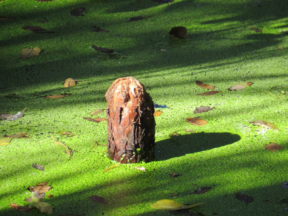 @Circle B Bar Reserve