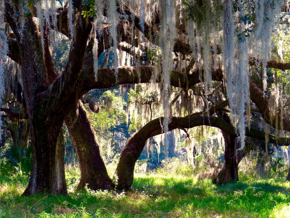 @Circle B Bar Reserve