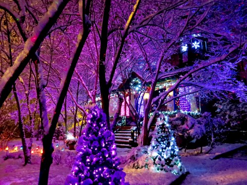 I shot this after the first big snow. Decorations not complete yet. The snow on the trees really caught the area lights.