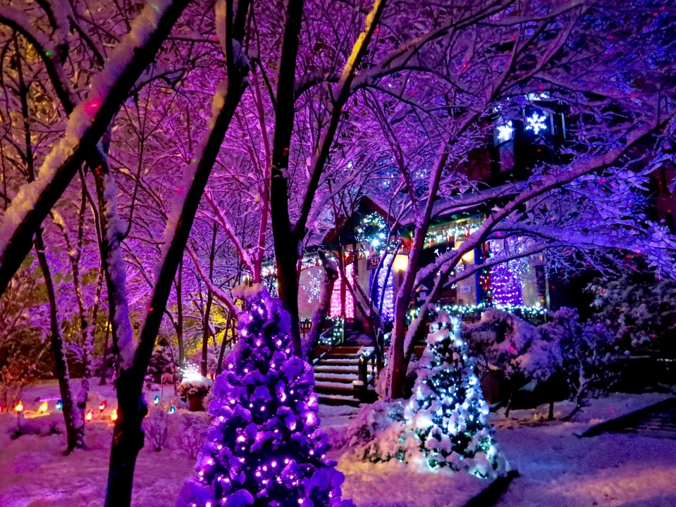 I shot this after the first big snow. Decorations not complete yet. The snow on the trees really caught the area lights.