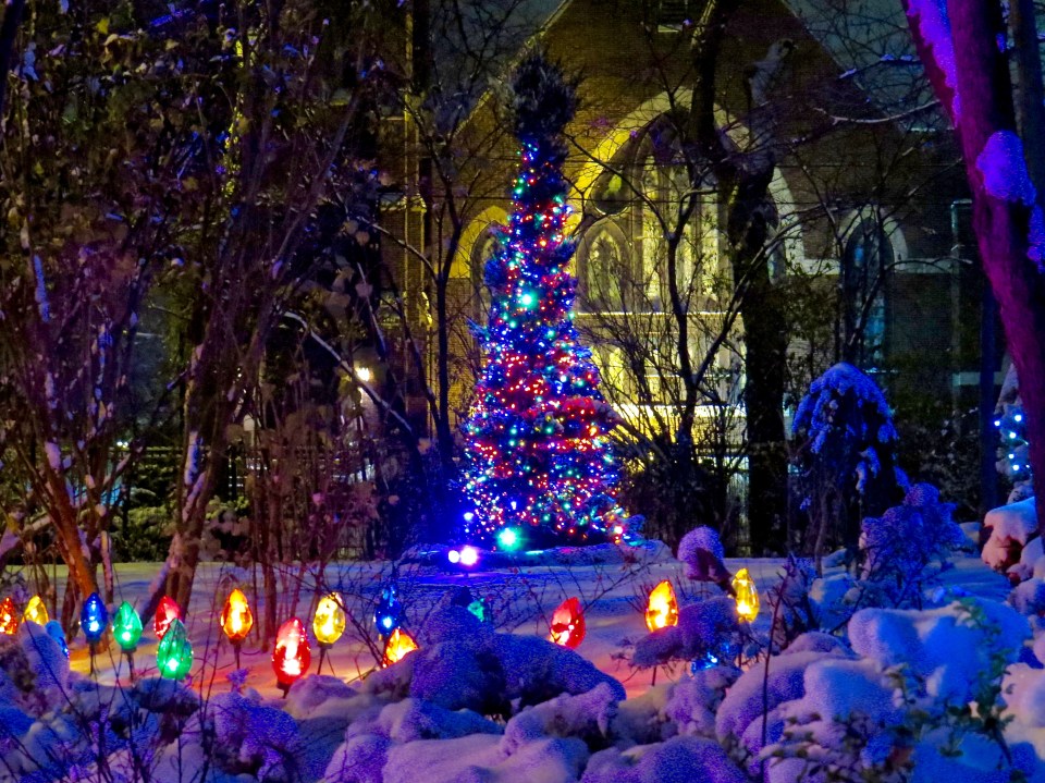 Looking across the front yard at our spiral tree with the church in the background.